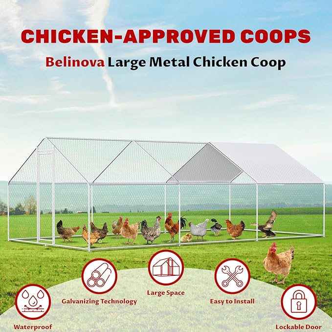 Chicken Coop Large Metal Chicken Coops Designed for Multiple Chickens with Waterproof and Anti-UV Cover,Premium Walk-in Poultry Cage Chicken House for Outdoor Farm Use(19.5'Lx9.8'Wx6.5'H)