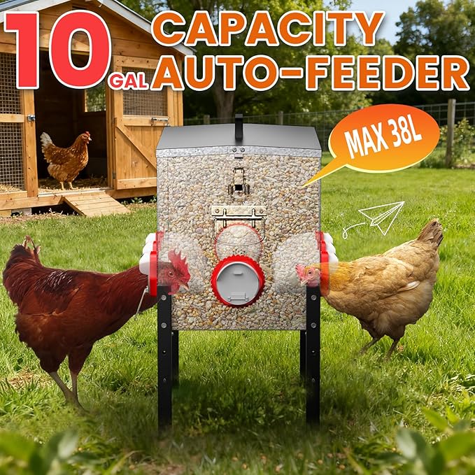 10gal Large Automatic Chicken Feeder - 55LB Capacity 8 Port No Waste Poultry Feeder, Rust-Proof Alloy Steel with Locking Lid & Adjustable Legs for Chickens