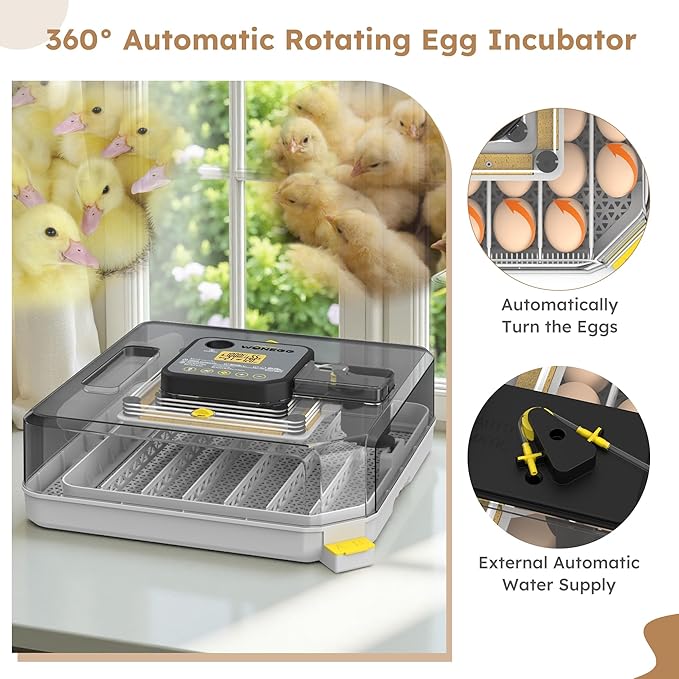 Egg Incubator for Hatching 48 Chicken, Duck, Quail & Goose Eggs – Automatic Egg Turner, Humidity & Temperature Control, Built-in LED Candler, Auto Water Refill, 360° Clear View Digital Poultry Hatcher