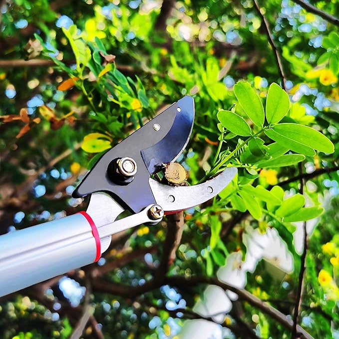 5.4-14.8 FT Tree Pruner Extendable 4 Sections, Telescopic Cut and Hold Trimmers Pole Saws Trimming Long Reach Pruning Shears Branch Cutter Clipper Bypass Lopper Fruit Picker
