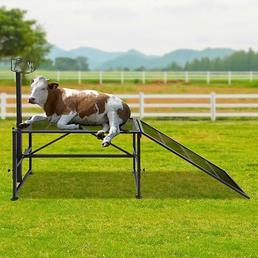 Metal Trimming Stand for Sheep Goat Livestock Stand with Adjustable Height 20.5-31.5in Milking Stand with a Ramp