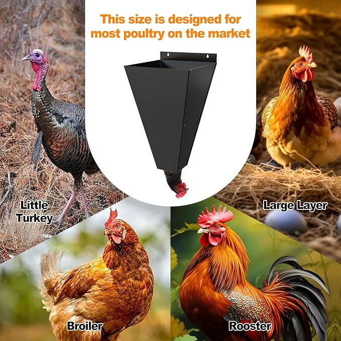 Large Chicken Cone for Butchering, Foldable Kill Cones for Chickens, Galvanized Chicken Butchering Equipment for Broilers, Laying Hens and Turkeys for 8-18 Lbs (Large)
