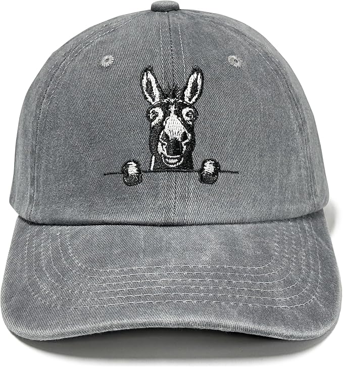 Embroidered Baseball Hats for Men and Women