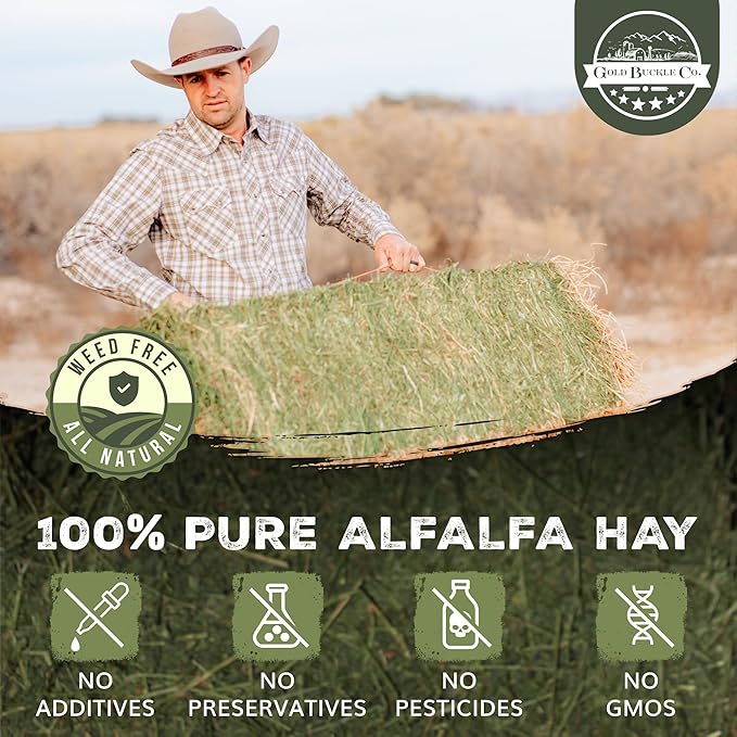 40lb Farm Fresh, USA Grown, Organic Alfalfa Hay for Rabbits, Guinea Pigs, Chinchillas, Goats, Hamsters & Ferrets - Small Animal Food Rich in Protein & Fiber - Just Dried, Hand-Selected