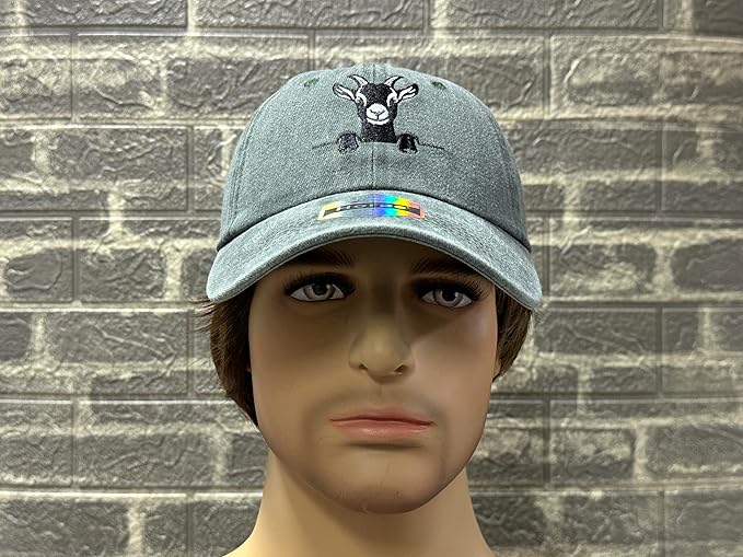 Embroidered Baseball Hats for Men and Women