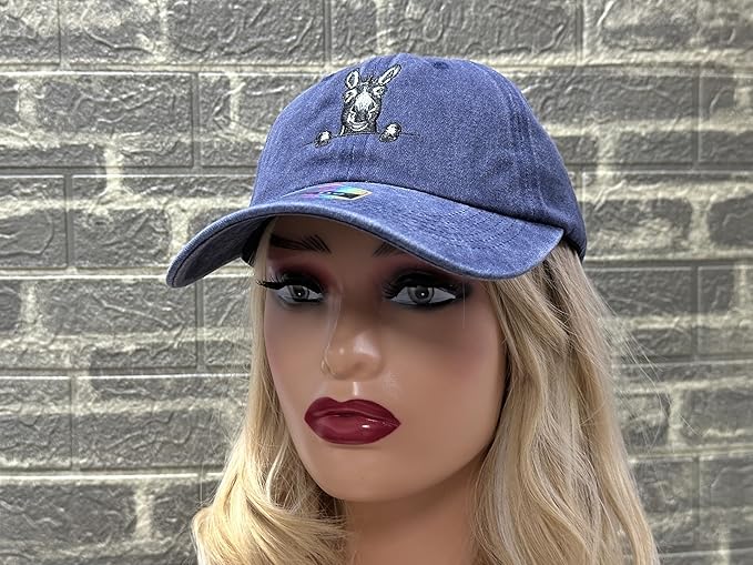 Embroidered Baseball Hats for Men and Women