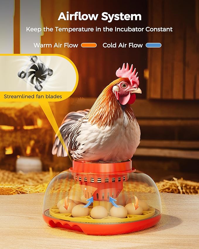 Incubator for Hatching Eggs,Automatic Turning,Temperature and Humidity Control Display,360° Viewing for Chicken, Duck, Quail Eggs, Ideal for Farm, Classroom, Home Use,2025 Upgraded 12 Egg Incubators