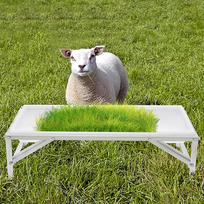 Livestock Feed Trough & Goat Water Trough, 35L/9.25Gal Capacity Long Feeder with Triangular-Structure Stand, Large Capacity Livestock Feeder for Sheep Deer Pigs Horses Cows Farm Use