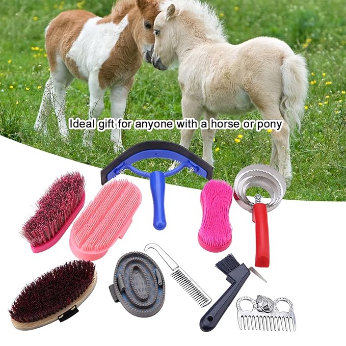10Pcs Horse Grooming Care Kit, Equestrain Brush Curry Comb Horse Cleaning Tool Set Including Sweat Scraper 2 Combs Itching Hoof Pick and 5 Brushes for Equine Care Supplies