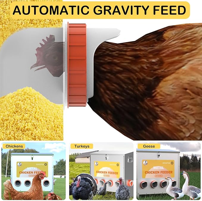 Automatic Chicken Feeder No Waste Metal Poultry Feeder Large Capacity 85 lbs for Chickens, Geese, Ducks, Turkeys, Quails (6-Port)