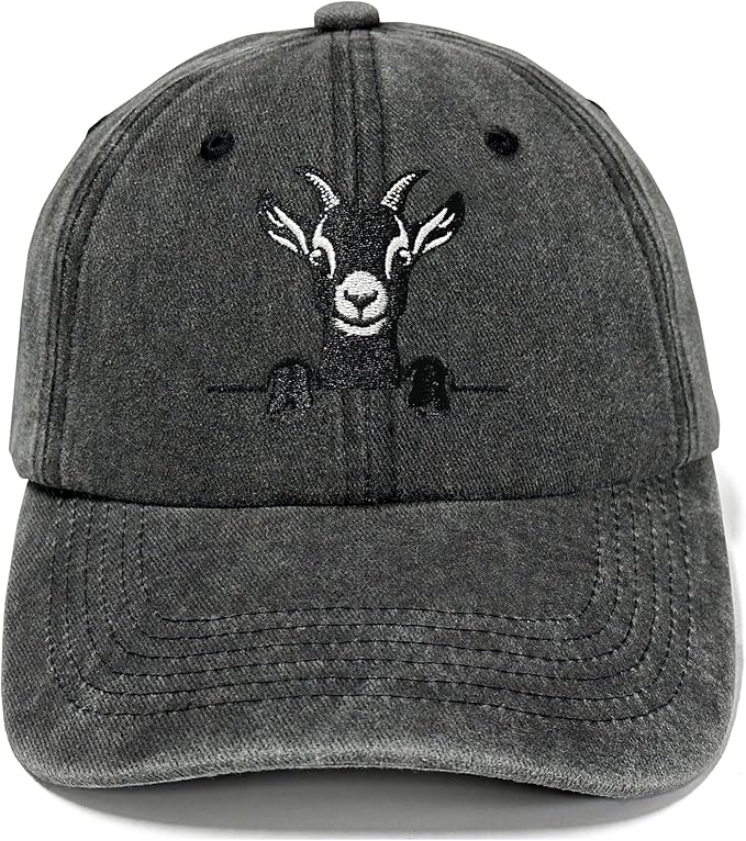 Embroidered Baseball Hats for Men and Women