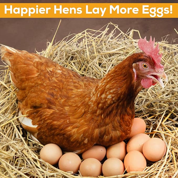 Chicken Dust Bath Sand Mix – Natural Poultry Dust for Feather & Skin Care | Diatomaceous Earth Blend | Coop Cleaner & Odor Control | Safe for Chickens, Ducks, Chinchillas-5 lbs