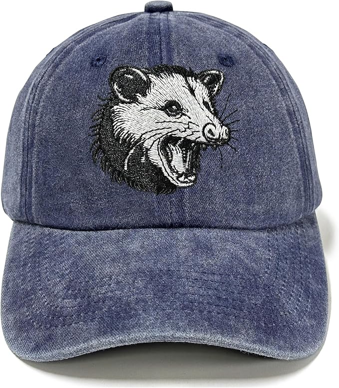 Embroidered Baseball Hats for Men and Women