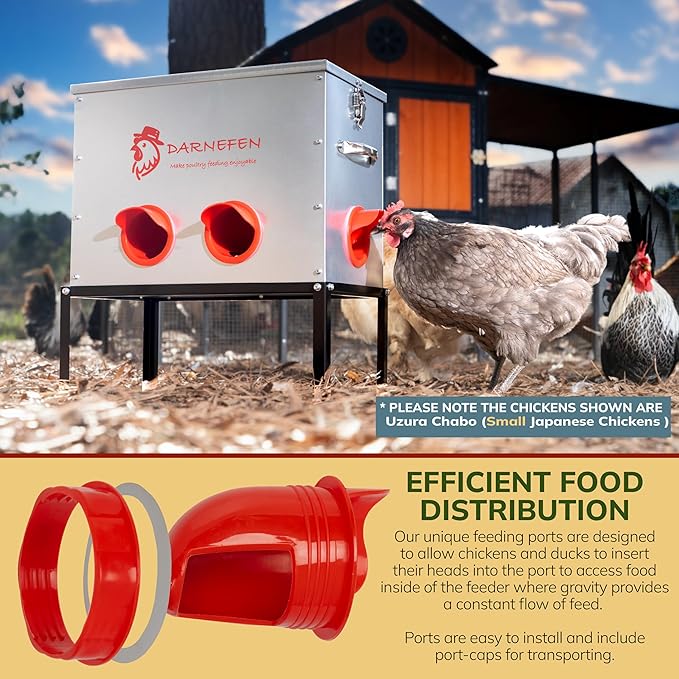 Automatic Chicken Feeder Rat Proof - 40lb 6 Ports Large Capacity Metal Poultry Feeder with Legs and Lids - Galvanized Chicken Feeder for Hen Coop