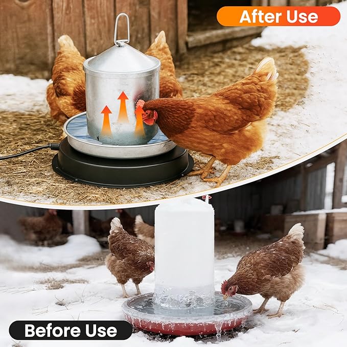 11'' Chicken Water Heater for Winter, Heated Waterer Base for Metal Plastic Poultry Waterer Under 5 Gallon, Built-in Thermostat (77℉ Auto Shut-Off), 110W Coop Heater with 6.6ft Power Cord
