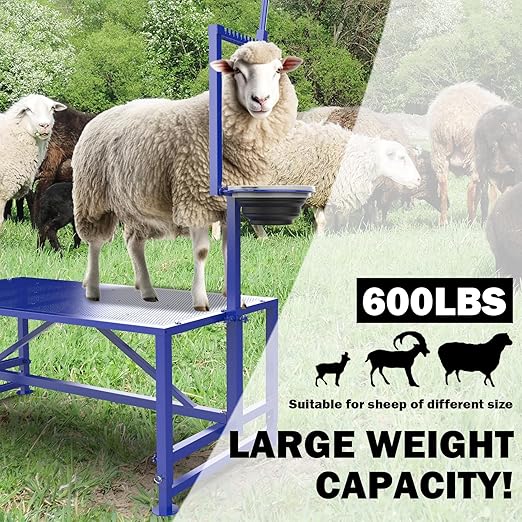 Goat Milking Stand with Feeder, Goat Stand for Trimming Hooves, with Adjustable Head Piece and Legs, Metal Blue Use for Livestock, Large Size 600 Lbs