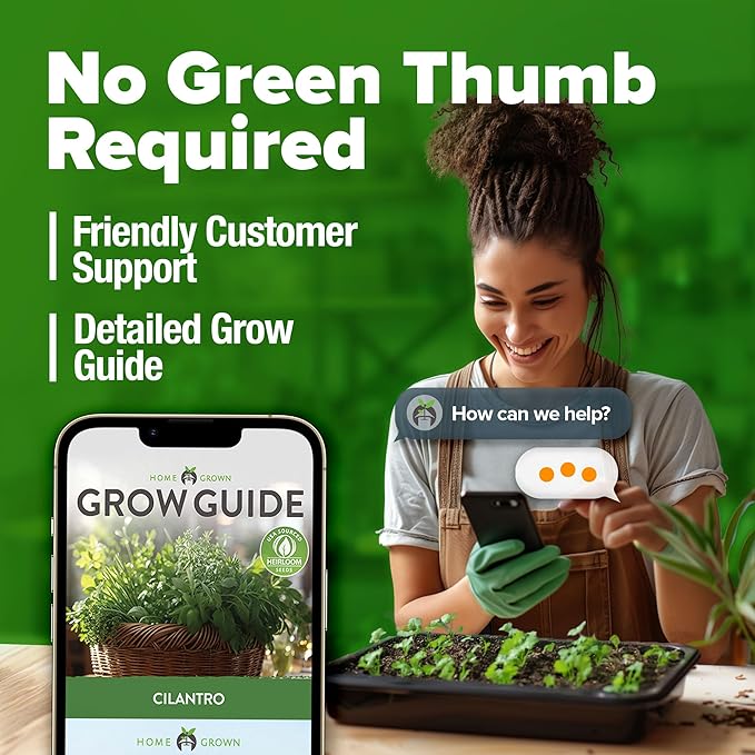 HOME GROWN Cilantro Seeds 250 Calypso & 250 Santo Cilantro for Planting Indoors, Hydroponics or Aerogarden - Heirloom, Non-GMO, Santo Plant, for Your Indoor Herb Garden (Coriandrum sativum)