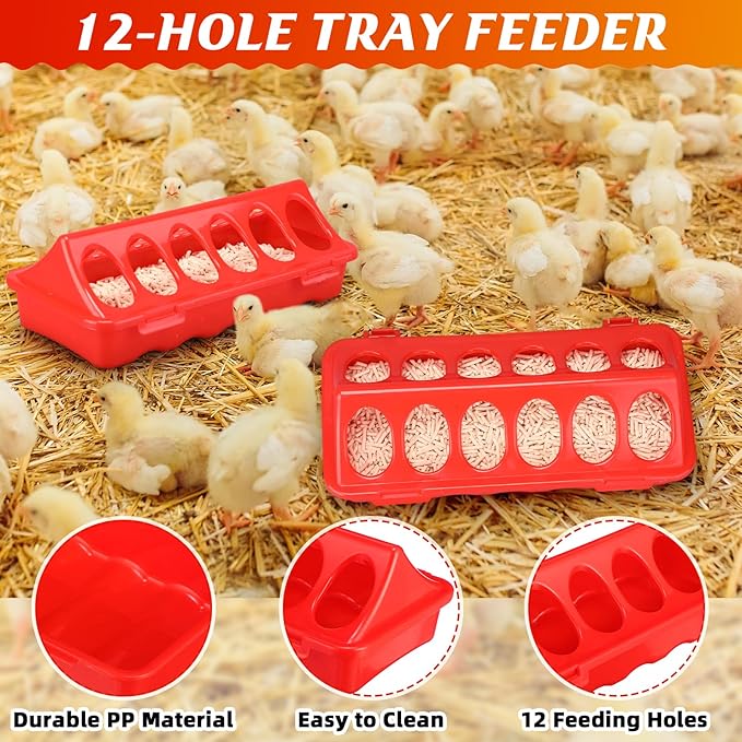 4 Pack 6l Heated Chicken Waterer for Winter Poultry Feeder Poultry Heated Constant Temperature Fountain with Leg Support for Chicken Coop Chicks Birds Duck Pigeon Farm Supplies