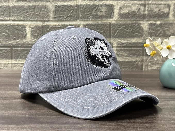 Embroidered Baseball Hats for Men and Women