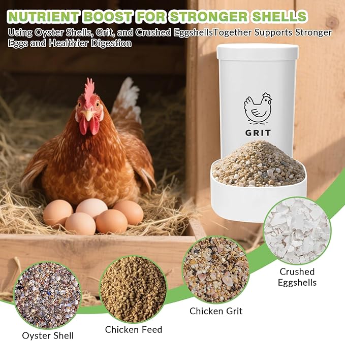 2 Pack Chicken Oyster Shell Feeder, Grit Feeder with Lid, Hanging Gravity Chicken Poultry Feeders Trough, Coop Accessories Supplies