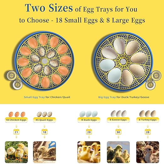 18 Chicken Egg Incubators for Hatching Eggs with Automatic Egg Turning and Humidity Control, High Hatch Rate Poultry Incubator for Chicken, Ducks, Goose, Pigeon, Quail, Ideal for Home, Farm, School