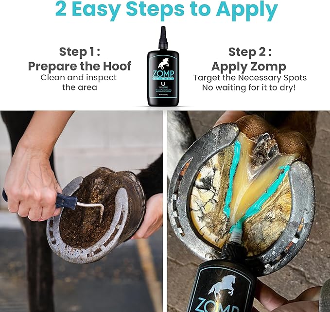 Horse Hoof Thrush Treatment and White Line Equine Care: Effective on Horses, Cows, Goats, Sheep, Pigs and All Hooved Animals Zomp