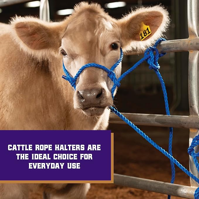 Weaver Livestock Braided Poly Rope Cattle Halter, Adjustable, Modern Style Cow Calf Halter, Livestock Handling Equipment for Showing, Blue