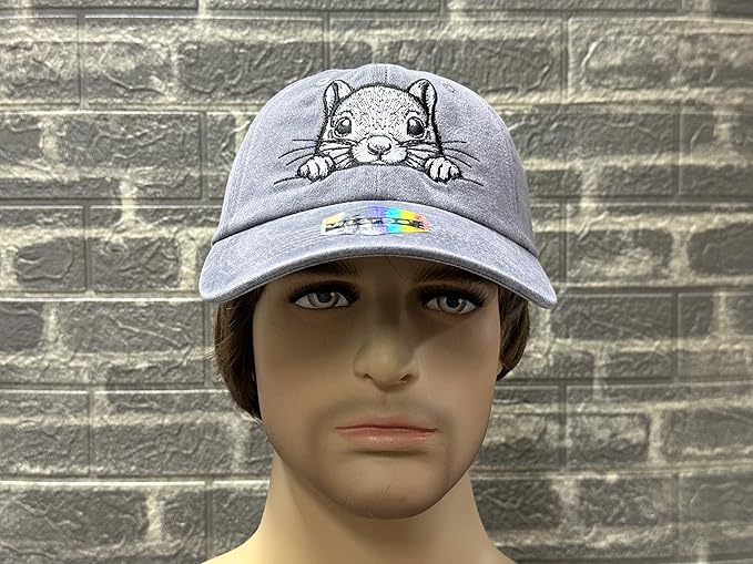 Embroidered Baseball Hats for Men and Women