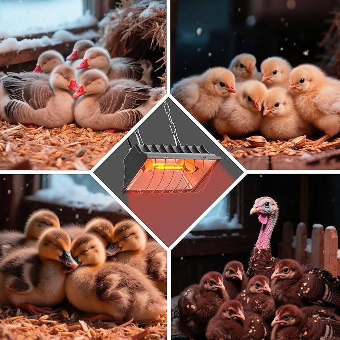 Chicken Coop Heater, Halogen Heat Lamp for Chickens, Ducklings, Goslings & Turkey, Safe Infrared Heating Lamp, Infinite Temperature Control, 50-250W, Even Heating, Adjustable Height, Gray