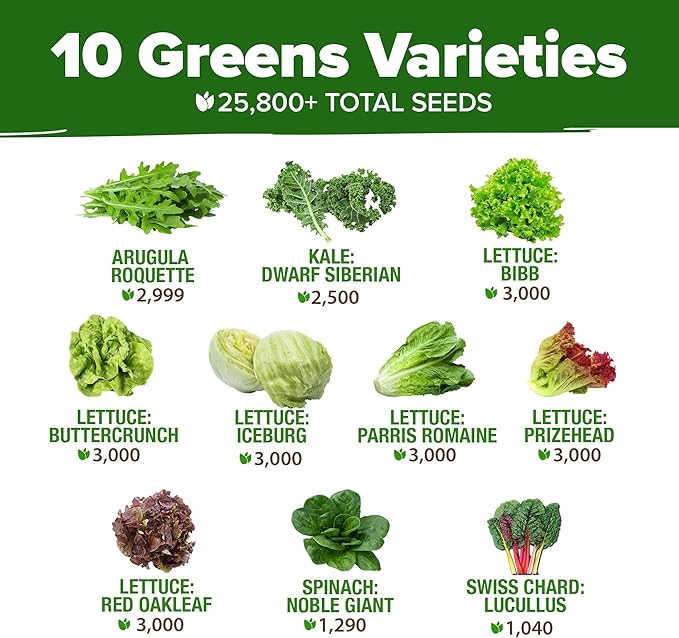 HOME GROWN 11,500+ Heirloom Lettuce Seeds - 10 Varieties Including Romaine, Buttercrunch, Iceberg, Kale & Spinach - Non-GMO USA Seeds for Planting Indoor, Outdoor & Hydroponic Gardens