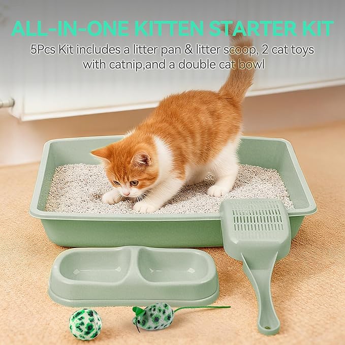 Pawise Cat Starter Kit Includes 4PCS Kitty Supplies, Great for Small Kitties, 14.5x10.5 Inch (Green)