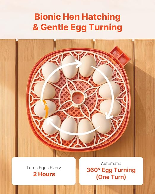 VEVOR 12 Egg Incubator, Automatic Egg Turner with LED Candler, Temperature & Humidity Control, 360° View Clear Window, Poultry Eggs Incubator for Home Farm, Hatching Chicks Ducks Goose Quail