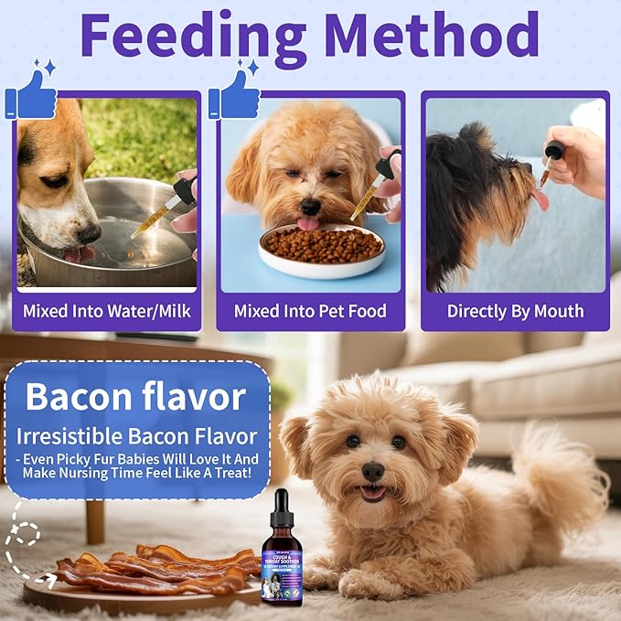 Dog Cough Treatment Support for Dogs - Dog Cough Care Natural Solution for Cough Natural Dog Cough Supplement Herbal Drops Support for All Breeds - 120 ml/4 Fl Oz
