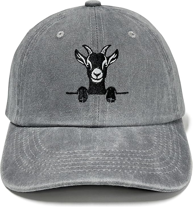 Embroidered Baseball Hats for Men and Women