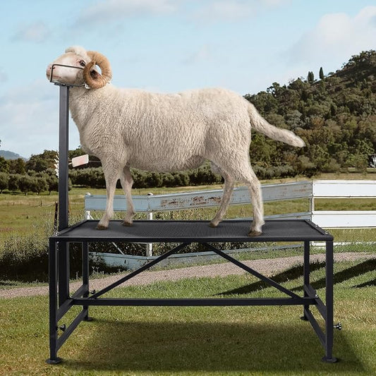 Goat Milking Stand 600Lbs Goat Stand Sheep Stand for Trimming Metal Livestock Stand with Adjustable Headpiece Goat Shearing Livestock Stand Height Adjustable, Black
