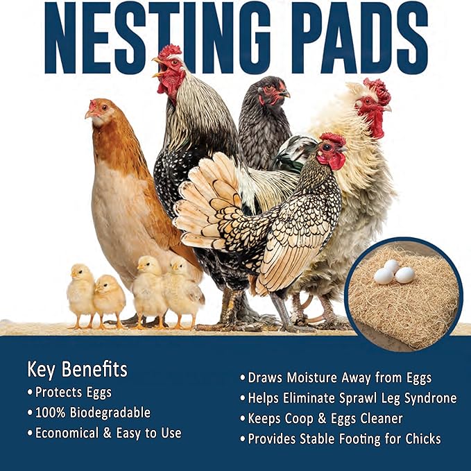 Nesting Pads for Chicken Coop Accessories - 12 Pack - Aspen Bedding for Chicken Nesting Box Rabbit Hutch - Organic Chicken Supplies
