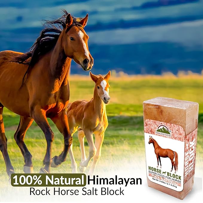 100% Natural Himalayan Rock Salt Block - Rich Mineral Salt Licking Brick for Animals, Horses & Deer Ideal for Animal Health & Nutrition | 5-8 LBS