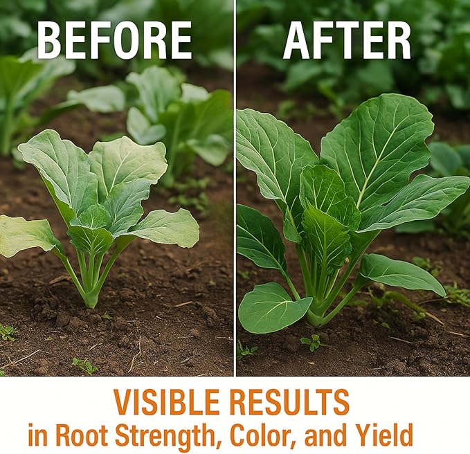 GS Plant Foods Liquid Kelp Fertilizer – Suitable for Organic Growing, OMRI Listed Seaweed Concentrate for Lawns, Gardens & Soil - 5 Gallons