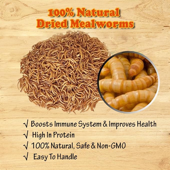 Amzey Dried Mealworms- 3.5 oz(2 Pack)- High Protein Non GMO Mealworms - Great for Turtle Food, Bird Food, Cockatiel Food, Lizard Food, Snake Food, Iguana Food, Sulcata Tortoise Diet- 3.5oz (2 Pack)