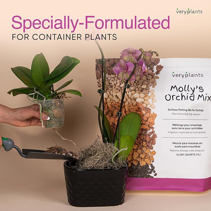 Molly's Orchid Potting Mix - Premium Gritty Soilless Orchid Mix - Chunky High Drainage vs Standard Potting Soil for Indoor Plants - Contains Bark, Coco Chips, Akadama, Pumice, Lava Rock 5 Dry Quarts