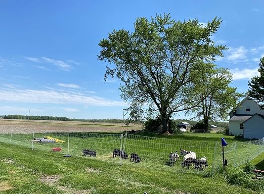 Starkline S400 Solar Fence Energizer