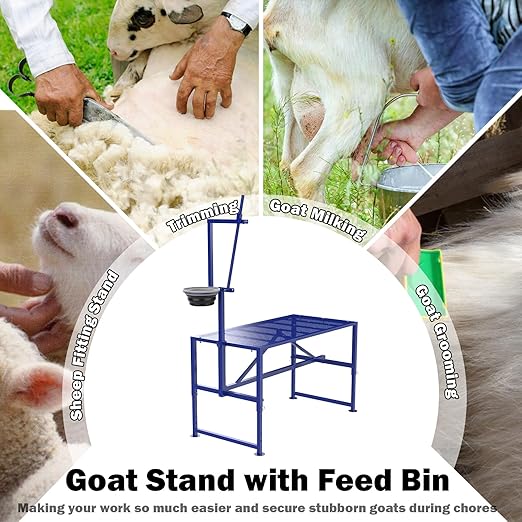Goat Milking Stand with Feeder, Goat Stand for Trimming Hooves, with Adjustable Head Piece and Legs, Metal Blue Use for Livestock, Large Size 600 Lbs