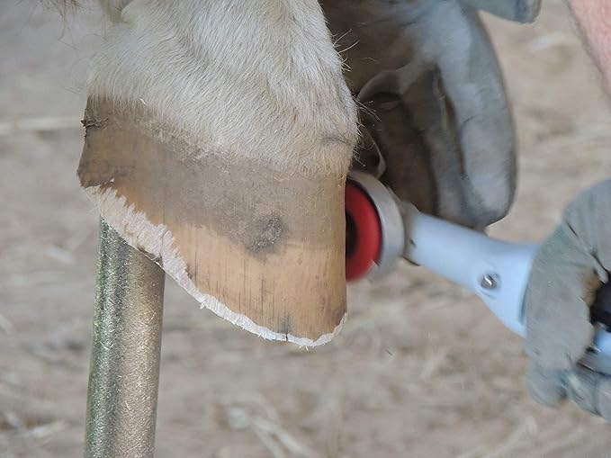 Hoof Boss - Horse Hoof Trimmers Complete Mobile Set - Horse Hoof Trimming Tools - Farrier Tool Kit - Requires 20 Volt Battery Not Included