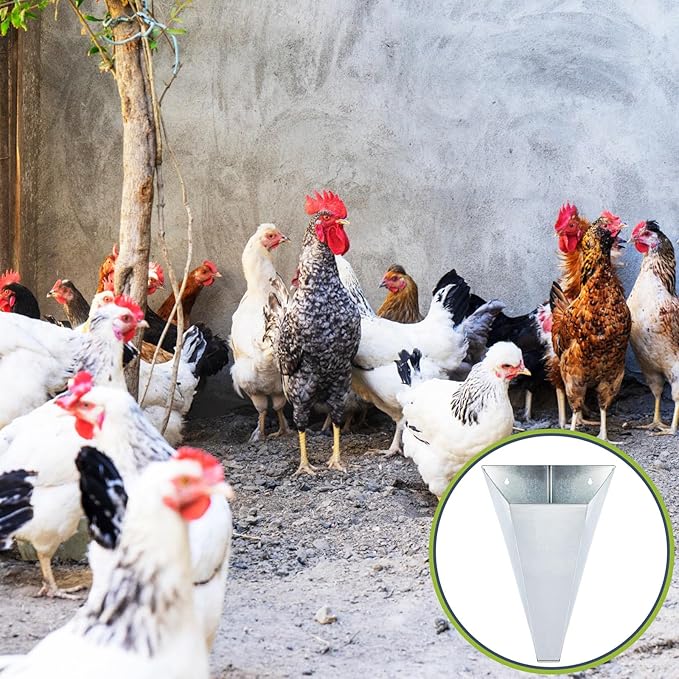 Mumufy 4 Pcs Medium Chicken Cone, Galvanized Steel Poultry Restraining Cones, up to 10 Pounds, Flat Back Funnel Cone Chicken Killing Cones for Butchering Birds Turkeys, Easy to Clean (Sliver)