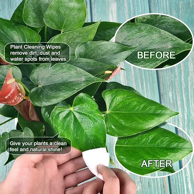Plants Cleaning Wipes for Leaf Shine, Clean and Photosynthesis, Leaf Cleaner for House Plants Outdoor Plants (80 Wipes)