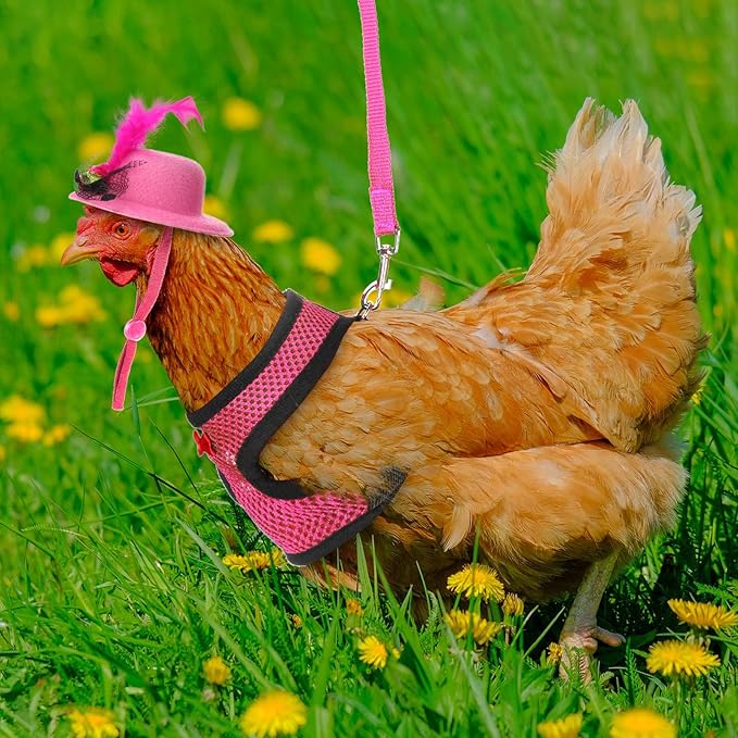 9 Pcs Funny Chicken Accessories Set - Harness, Leash & Hats for Hens, Ducks, Geese & Parrots - Adjustable, Training Walking Supplies