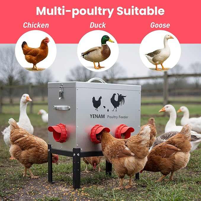 40 lb Automatic Chicken Feeder No Waste, 6 Feeding Port Large Metal Chicken Feeders, Poultry Feeder with Adjustable Height Base & Locking Lid, Rat Proof Chick Feeder for Chickens, Ducks & Geese