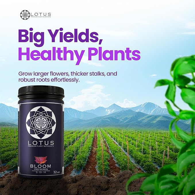 Bloom Pro Series - Hydroponic Plant Nutrients and Fertilizer, Water Soluble Plant Food, for Coco Coir Hydro and Soil, Enhances Flowering and Fruiting, Indoor and Outdoor Grows (32oz)