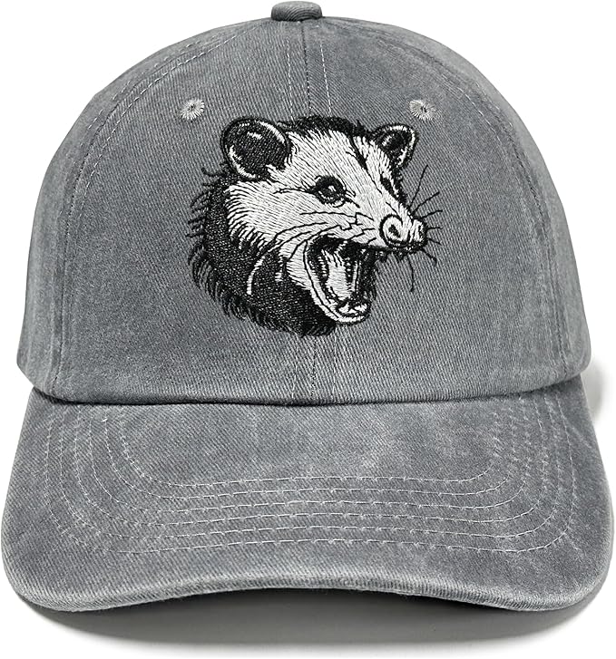 Embroidered Baseball Hats for Men and Women