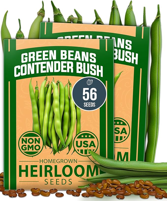 HOME GROWN Contender Bush Seeds - 56 𝗡𝗢𝗡-𝗚𝗠𝗢 𝗨𝗦𝗔-𝗦?𝗨𝗥𝗖𝗘𝗗, Heirloom Green Beans for Planting - Emergency Food Supply (Phaseolus vulgaris)